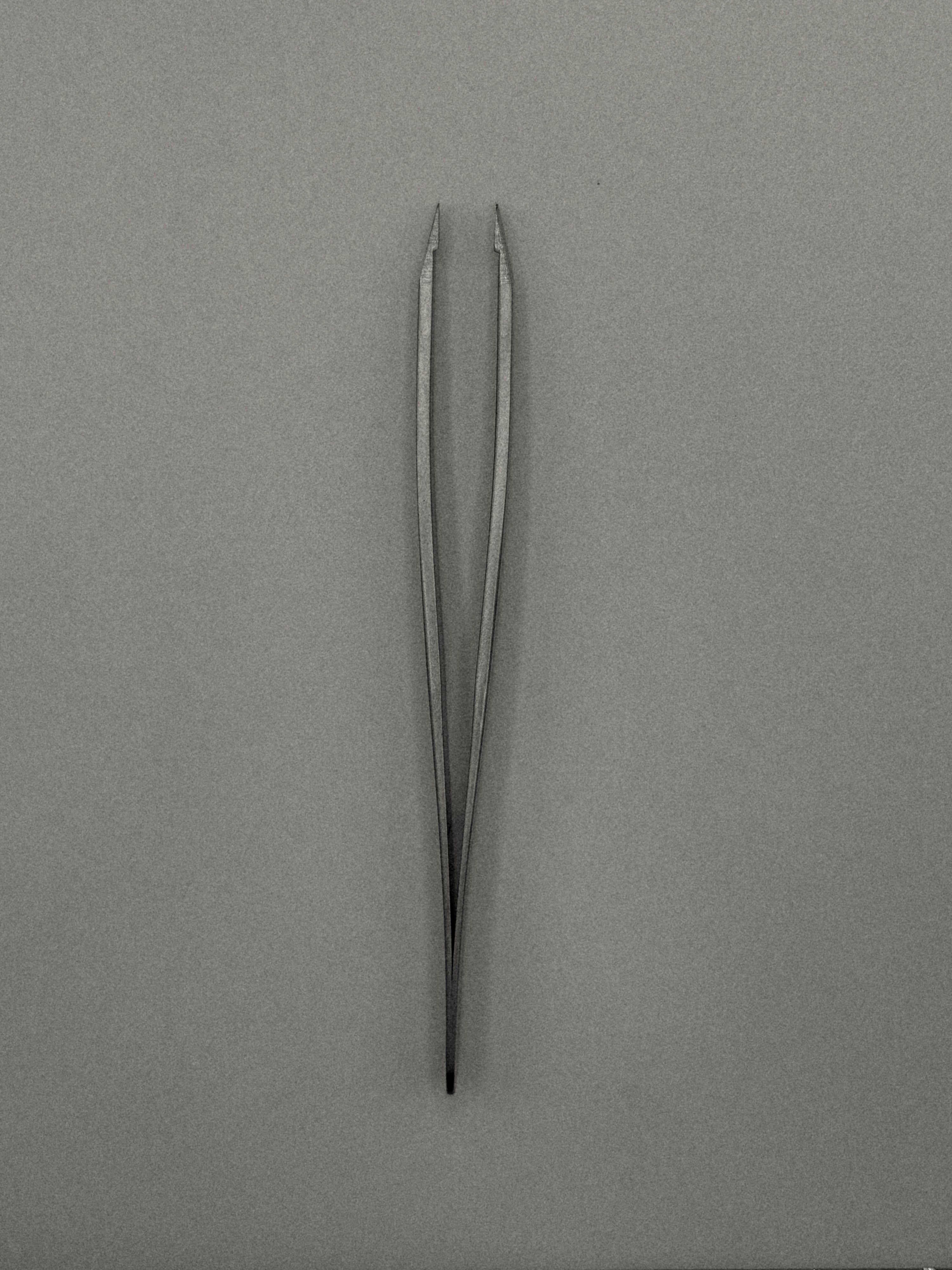 Weekday Tweezers