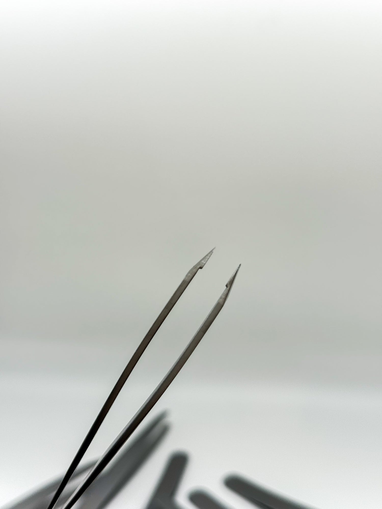 Weekday Tweezers