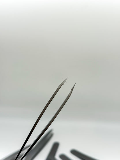 Weekday Tweezers