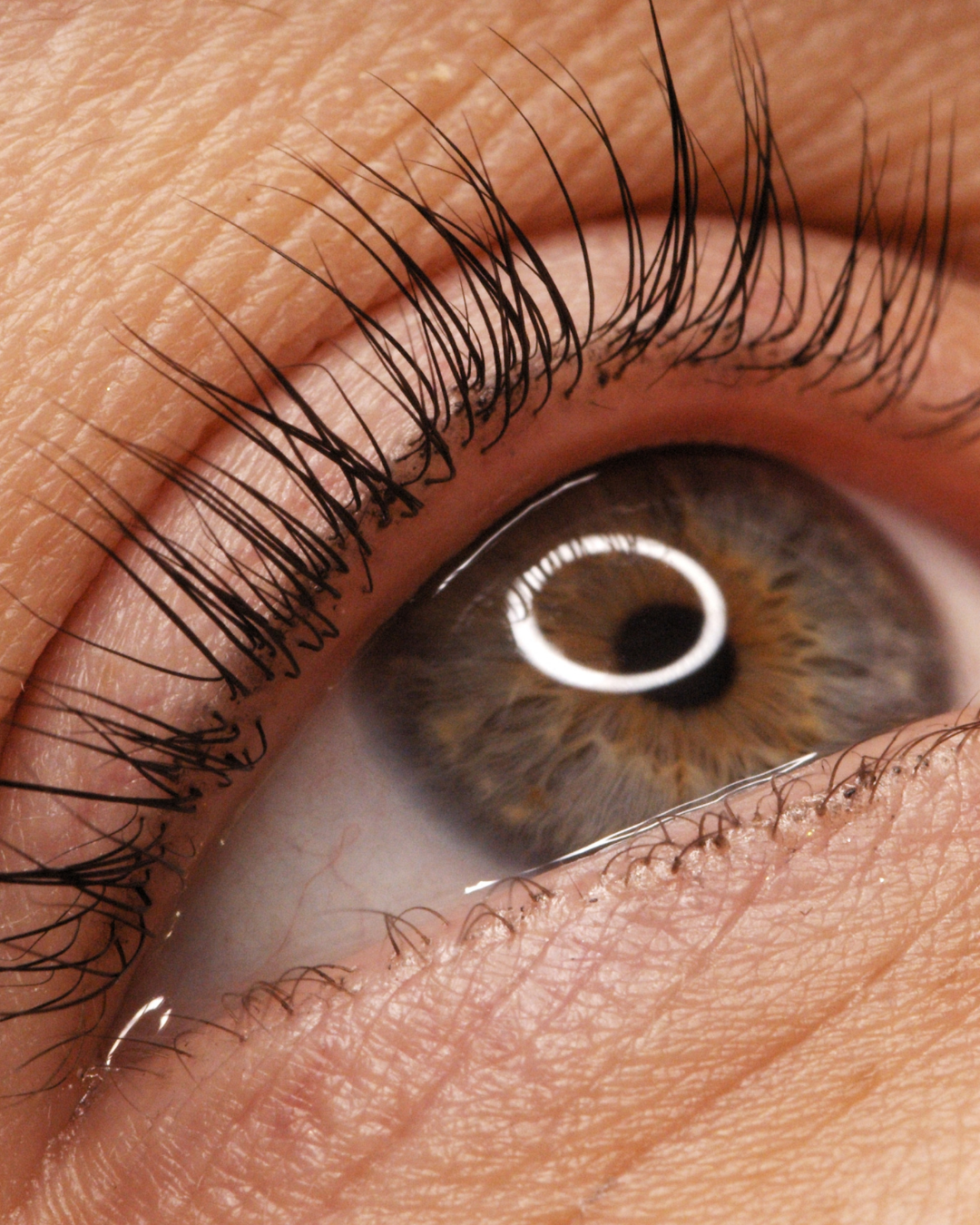 Lash lift and tint